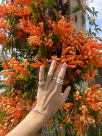Love 🧡 and cosmic architecture of Dalat living 