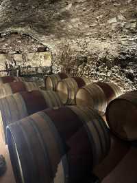 My wine tasting experience in Tuscany’s vineyard Castello Di Cacciano