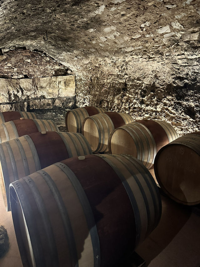 My wine tasting experience in Tuscany’s vineyard Castello Di Cacciano