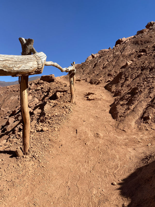 Argentina Trip: Epic Canyons Await in Salta!