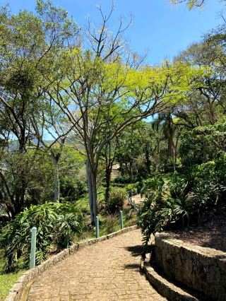 遠足佛羅里諾波利斯的Costa da Lagoa步道