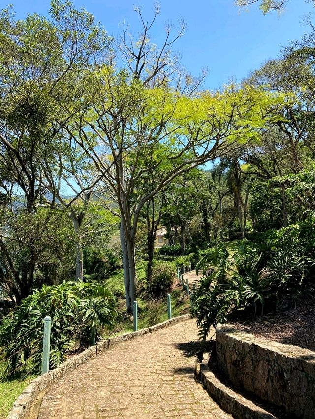 🌿 Hiking the Costa da Lagoa Trail in Florianópolis 🥾
