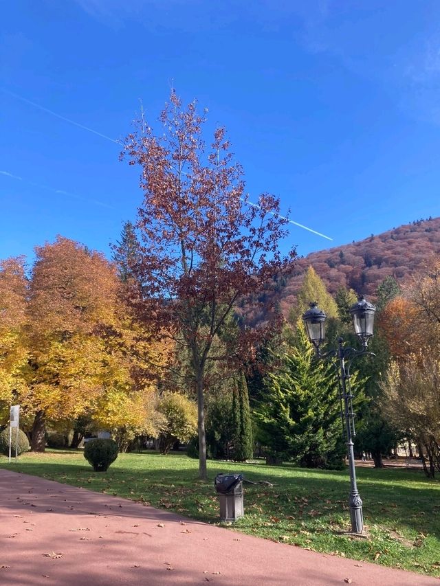 Autumn Elegance in Sinaia 🍂 Autumn Elegance in Sinaia 🍂