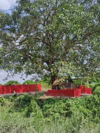 Trip to Heaven Guwahati