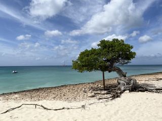 無盡的海洋夢想