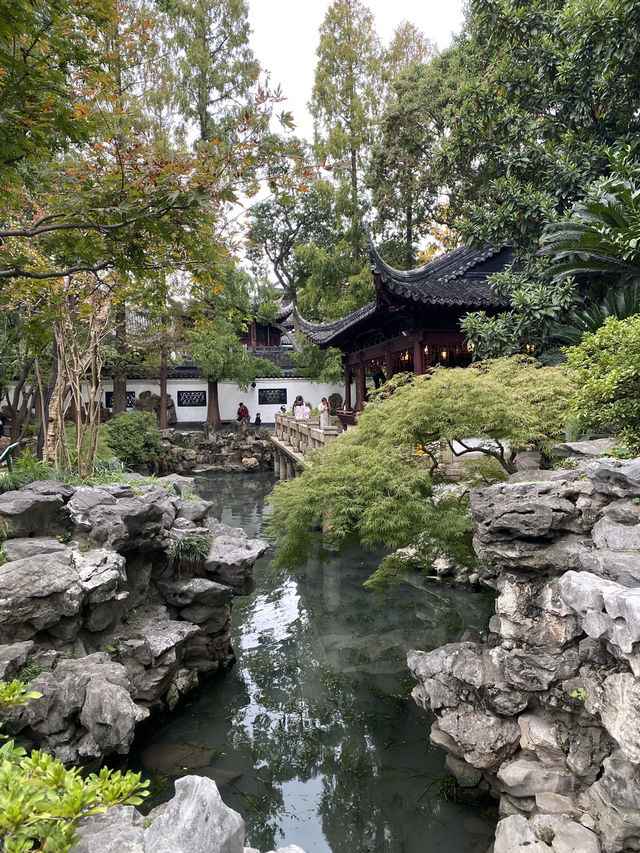 🪷День 2 -Сад Юйюань, старый город и деловой центр Шанхая 🪷День 2 -Сад Юйюань, старый город и деловой центр Шанхая