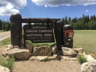 Grand Canyon North Rim: Unlock the Green Secret Known to Only 10% of Travelers.