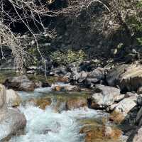 Meli Grand Canyon 