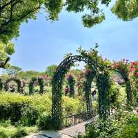 【蘇州】少女漫画のようにバラを背負う「東方之門」が見れる「金鶏湖景区」