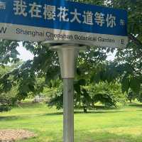 Shanghai’s Gardens 