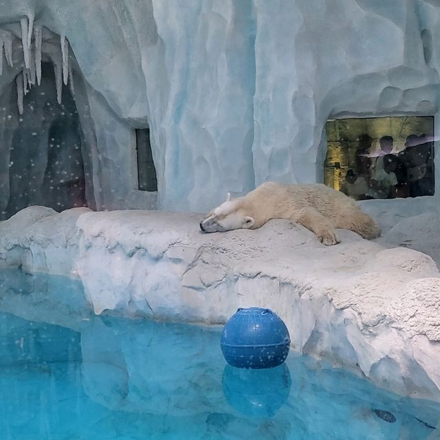珠海長隆必到的主題樂園