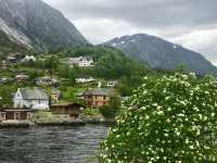 Norwegian Hardangerfjord.