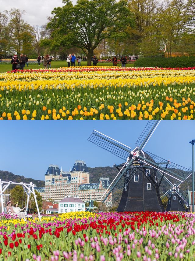 Holland | Where else to go if not Keukenhof to see tulips?