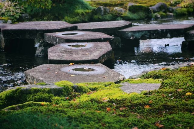 Off-the-beaten-path destinations for viewing autumn leaves in Japan.