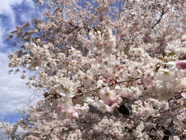 Early spring at the Royal Botanical Gardens in Canada.