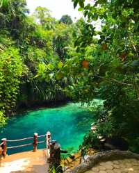 Enchanted River Oasis: Embracing the Beauty Beyond Cannonballs 💙