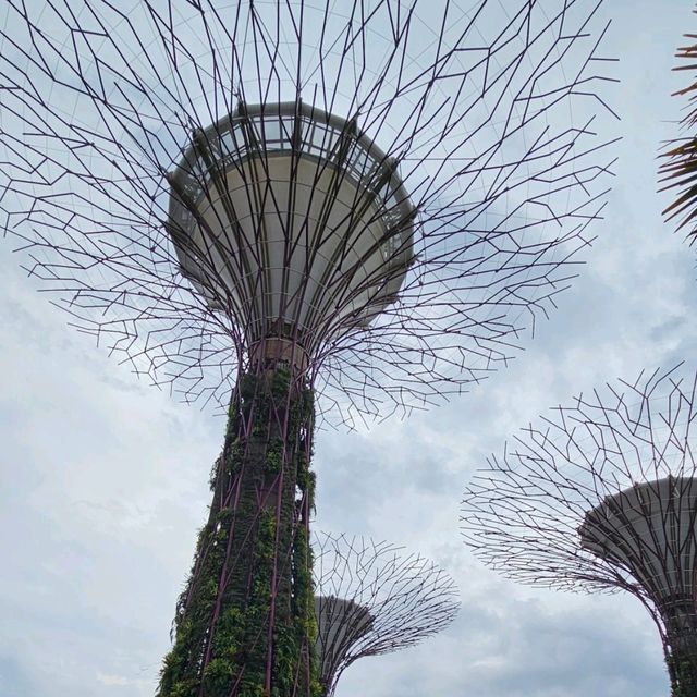 Gardens by the Bay