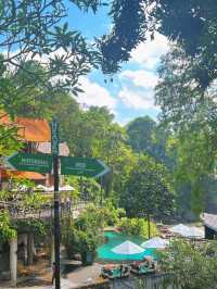 Tegenungan : Bali's Refreshing Falls 💧 