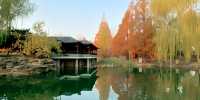 廣東中山公園｜此生難以忘懷的唯美風景