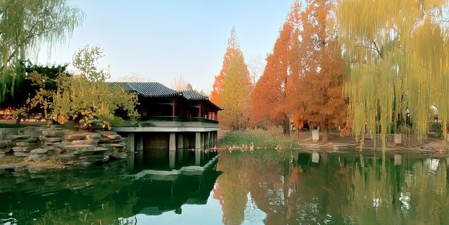 廣東中山公園｜此生難以忘懷的唯美風景