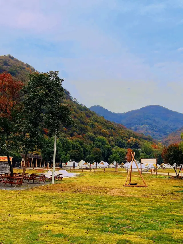 Essential guide to maple leaves in Wuhan