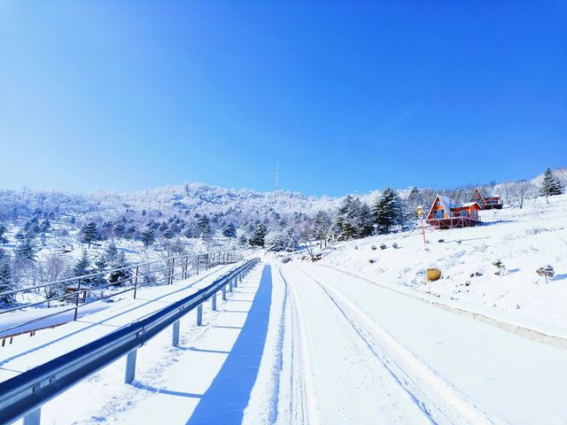 吉林絕美小眾賞雪地：在這個冬天誤入仙境