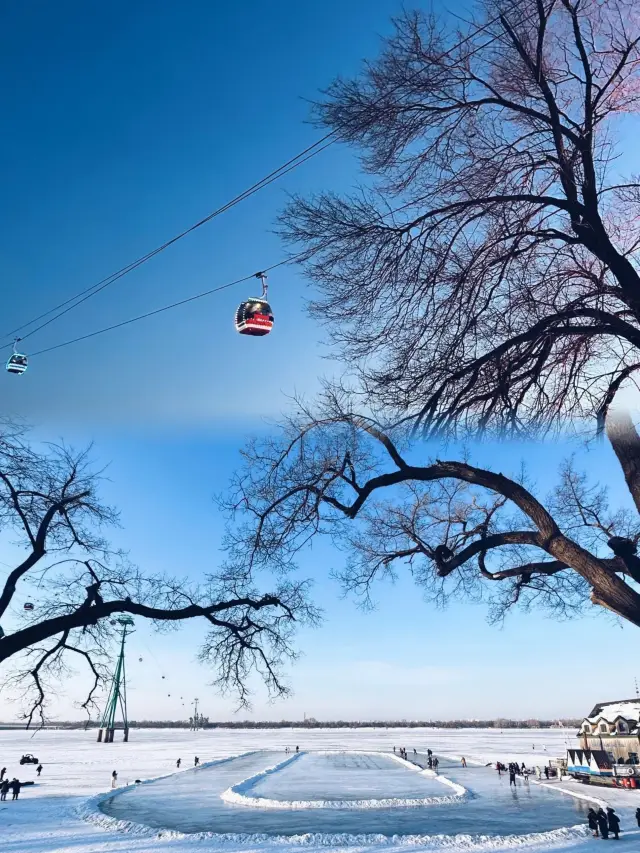 Harbin's stunning check-in point - Songhua River Sightseeing Cableway