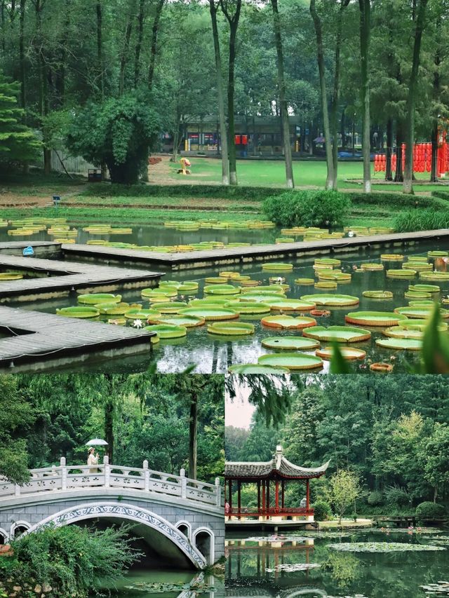 國慶打卡好去處～～武漢植物園