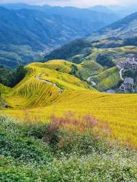 全球追秋｜桂林C位“中國最美鄉村”—龍脊梯田