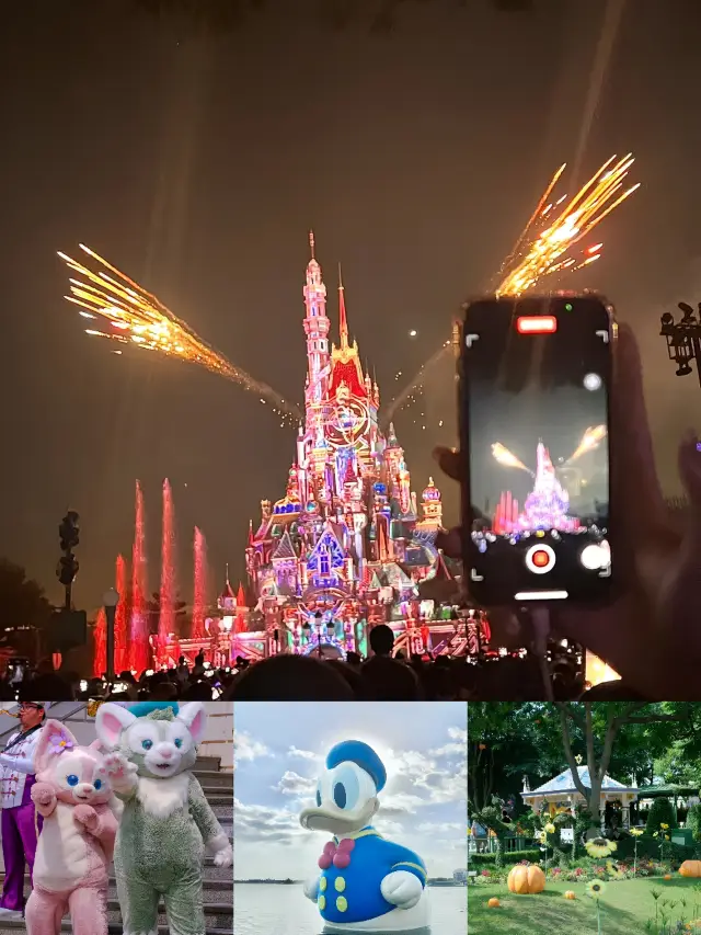 Comparison between Hong Kong Disneyland and Shanghai Disneyland