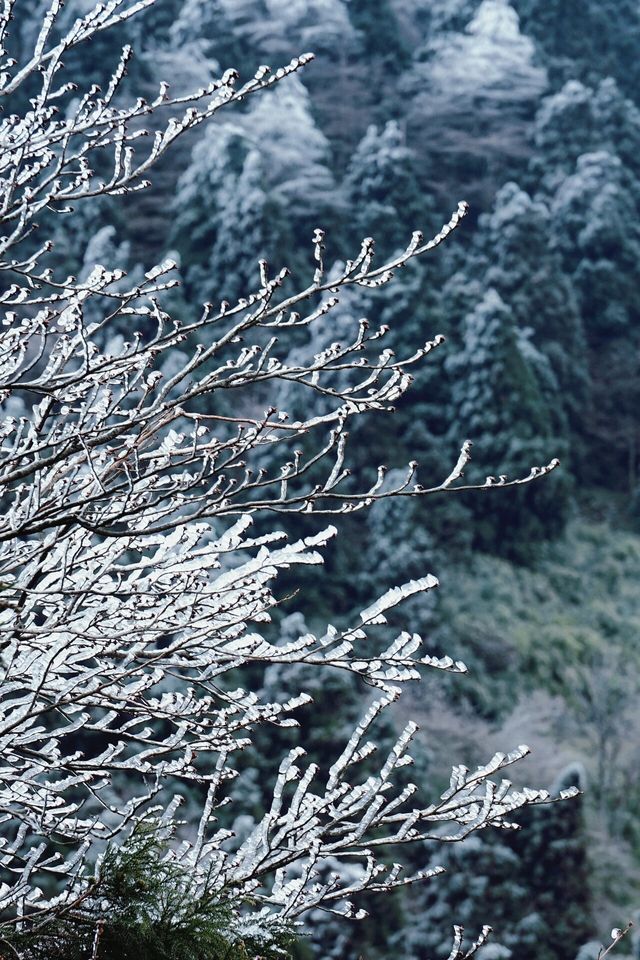 勸你千萬不要來南嶽衡山