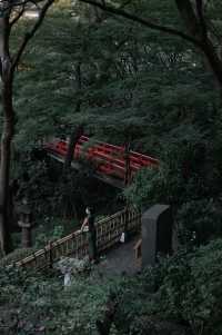 東京椿山莊大酒店｜是一家能看雲海的酒店哦～