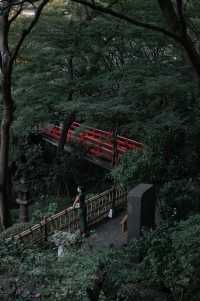 東京椿山莊大酒店｜是一家能看雲海的酒店哦～