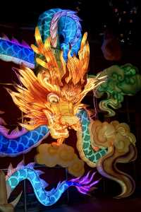 郑州龍年迎春｜來沉浸式逛燈展啦