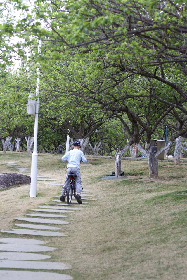 遛娃來了不止10次的公園非常適合騎行