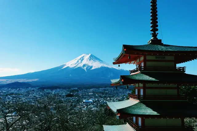 富士山下のトレーニングキャンプ、美術館、小岩井農場、そして神社