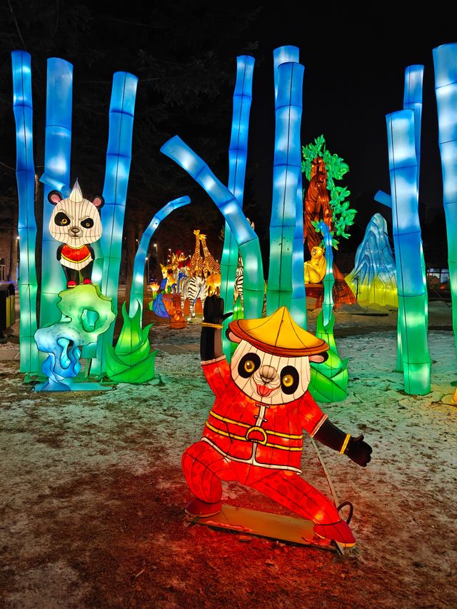一次愉快的動物園夜遊