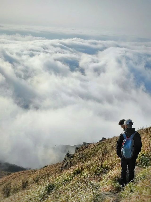 斗篷山絕境過後的狂歡