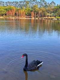 城市公園圖鑑｜廈門島內99％不知道的小眾秘境無濾鏡超美！