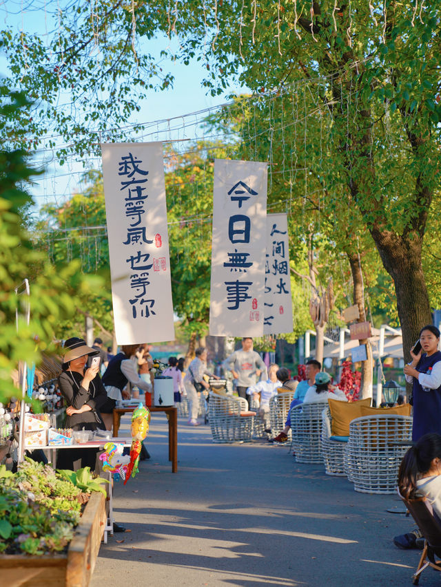上海周末小眾寶藏人少金色稻田田園風光！