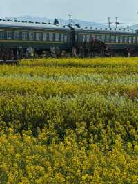 來沙堤村感受這趟開往春天的列車