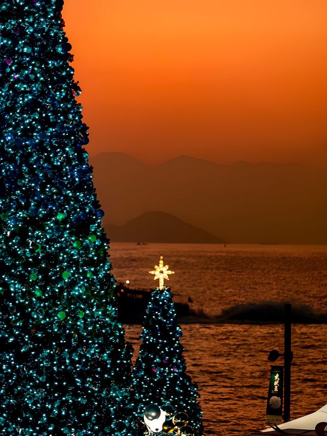 總要去香港看看海邊的聖誕吧！