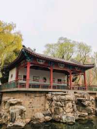 Amazing Longtan Park