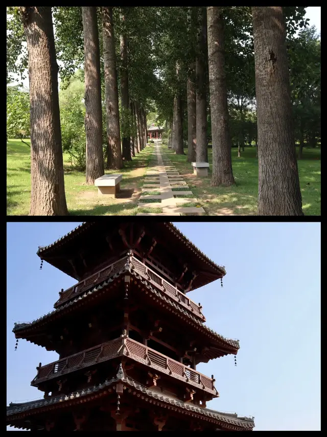 Explore the Mystery of Jinci Temple, a One-Day Tour of Ancient Charm and Modern Style! Hey friends! I went there last weekend