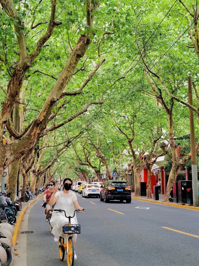 Life advice before leaving Shanghai, go for a stroll on Yuyuan Road