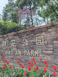 靜安公園：園外是熱鬧的都市商圈，園內則是靜謐的綠色天地