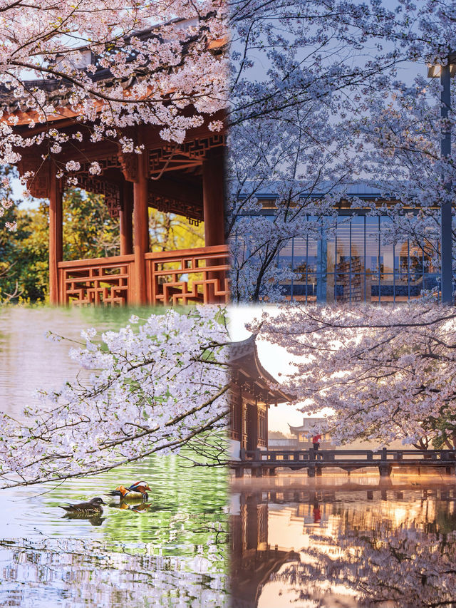 接下來的杭州，堪稱春日旅遊天花板