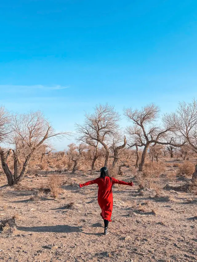 Ejina Poplar | When the wind meets the sand, I am forever free