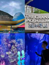 香港海洋公園攻略：探索海洋世界的絕佳去處！
