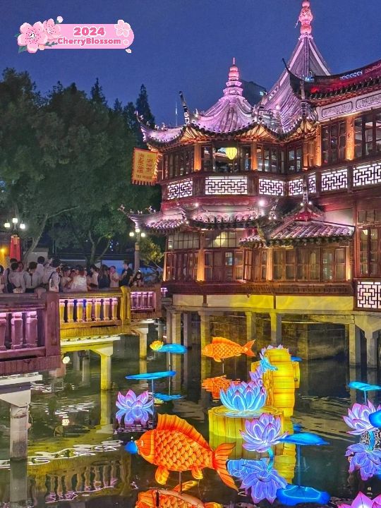 Beautiful Yu Garden in Shanghai✨🌸❤️